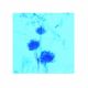 Azul De Lactofenol En Solucion Para Tincion De Hongos (100ml)